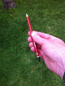 You're free! Run! Run Beauty Run!