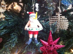 Merry Christmas from Aus everyone. Stay safe now.